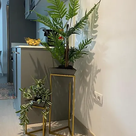 Apartment Apto Moderno, A Minutos De La Playa Y Del Centro Tarifa